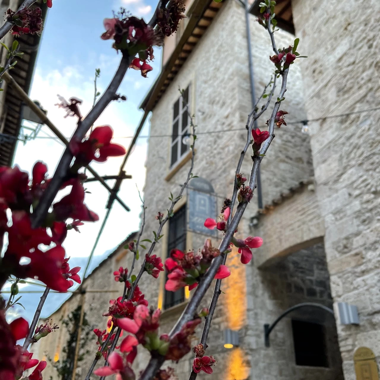residenza 3